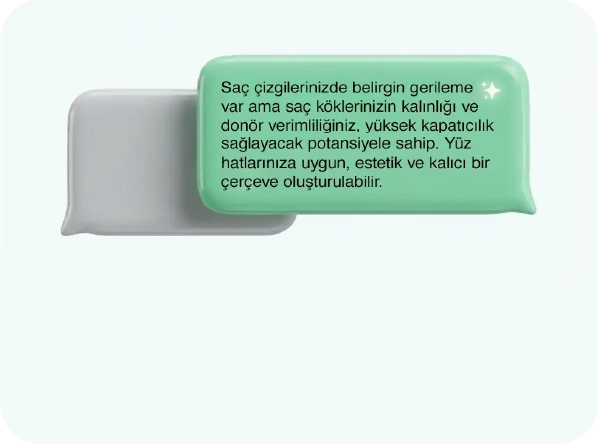 İkna Edici Satış Asistanı Personası